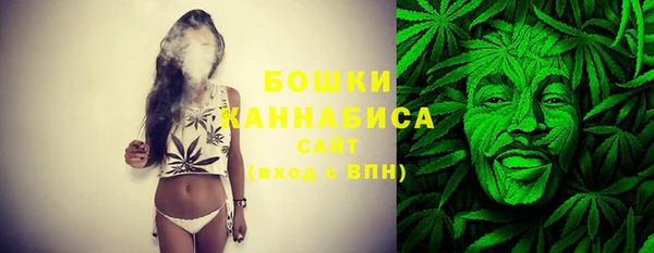 2c-b Елабуга
