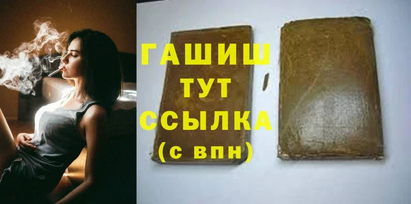 амф Ельня