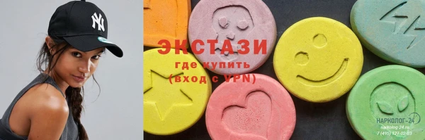 амф Ельня