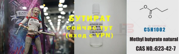 амф Ельня