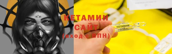амф Ельня