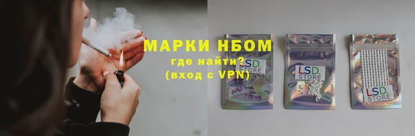 амф Ельня