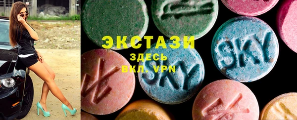 амф Ельня