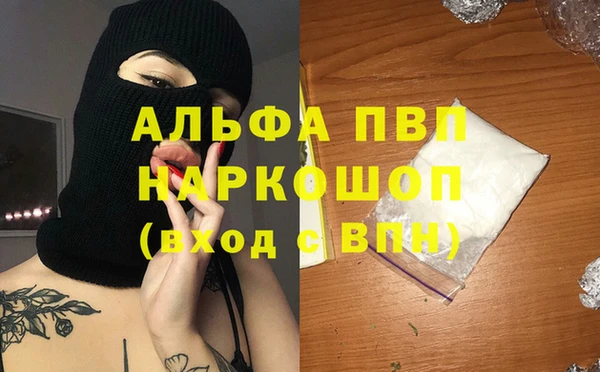 амф Ельня