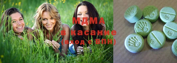 амф Ельня