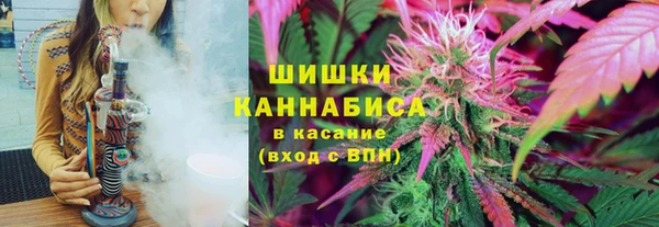 2c-b Елабуга