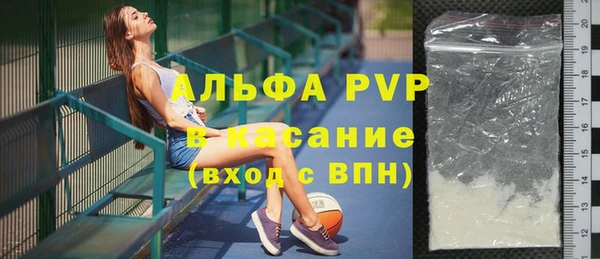 амф Ельня