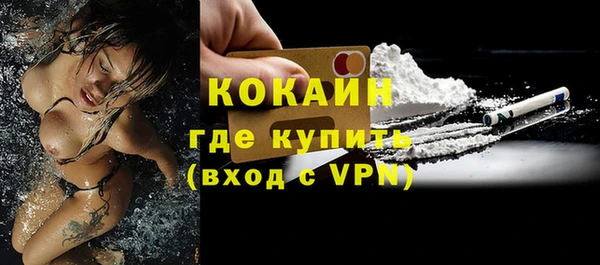 амф Ельня