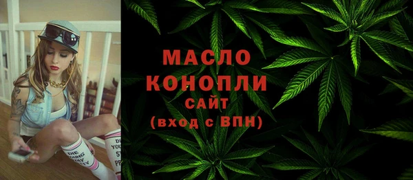 амф Ельня